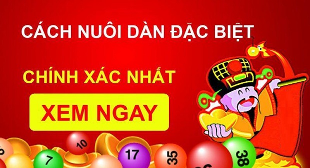 Tổng đặc biệt hôm nay – loại tổng đặc biệt