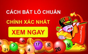 xỉu chủ là gì? cách đánh xỉu chủ hiệu quả từ cao thủ lô đề